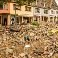 Bild-Nummer: 32