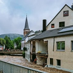 Bild-Nummer: 34