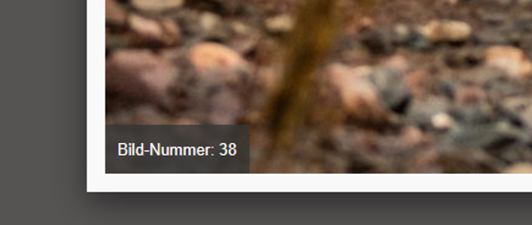 Bildnummer, die bei Interesse anzugeben ist.