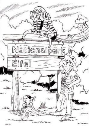 Nationalpark Eifel