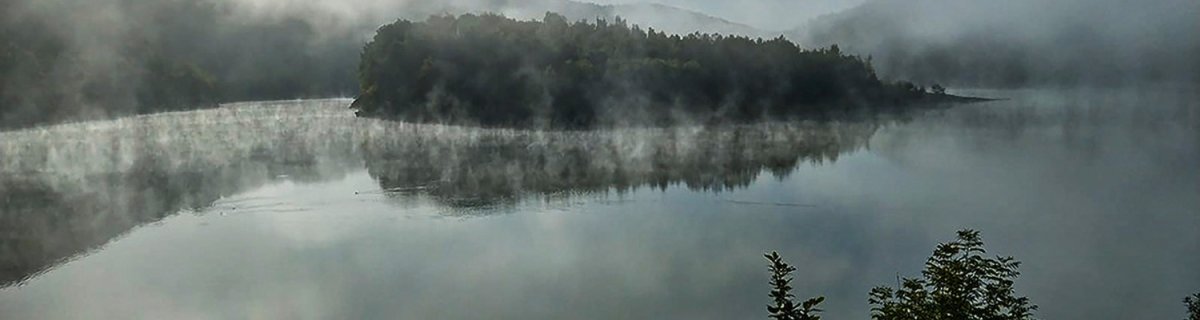 Mystische Stimmung am Urftsee mit Morgennebel.