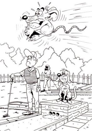 Gemünd: Freizeit und Erholung Gemünd: Freizeit und Erholung