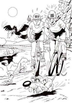 Nationalpark Eifel: Victor-Neels-Brücke und Radfahren auf der K7 Nationalpark Eifel: Victor-Neels-Brücke und Radfahren auf der K7