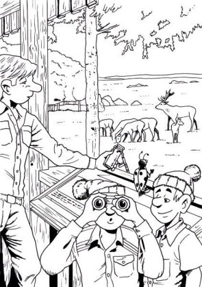 Nationalpark Eifel: Rothirschaussichtsempore Nationalpark Eifel: Rothirschaussichtsempore