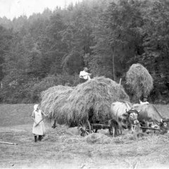 Heuladen in der Berenbach, ca. 1930er Jahre