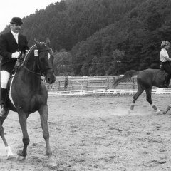 Springturnier des Gemünder Reit- und Fahrvereins in Nierfeld 1986. (Foto: Stadtarchiv Schleiden)