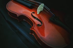 Violine Violine