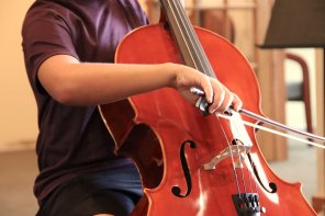 Viloncello Viloncello