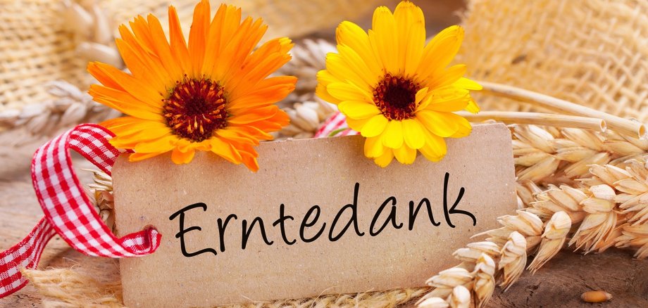 Erntedank! Schild mit Text und Deko.