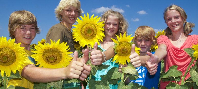 Daumen hoch im Sonnenblumenfeld