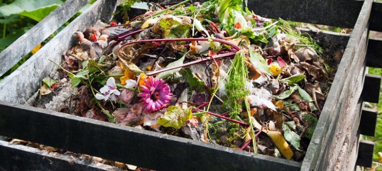 Kompostieren leicht gemacht