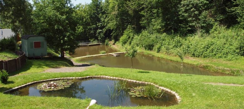 Angelteich Silberquellchen in Gemünd Angelteich Silberquellchen in Gemünd