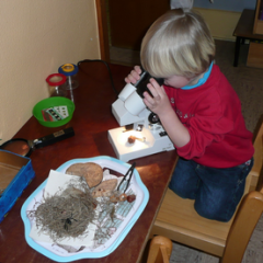 DRK Kindergarten Harperscheid, Kleine Forscher