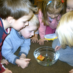 DRK Kindergarten Oberhausen, Kleine Forscher