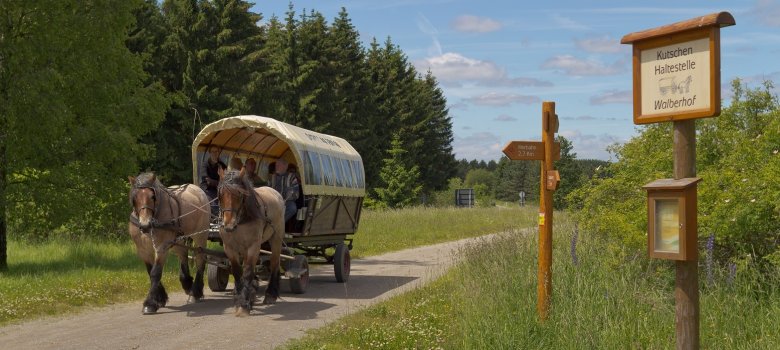 Kutschfahrt im Nationalpark Eifel Kutschfahrt im Nationalpark Eifel