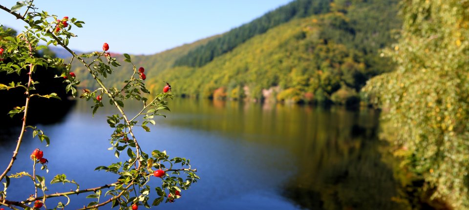 Ferienregion Nordeifel | Nationalparkhauptstadt Schleiden ...