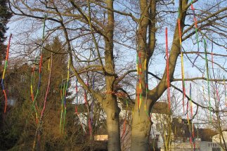 Bunter Baum auf der Kunstmeile Schleiden Bunter Baum auf der Kunstmeile Schleiden