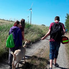 Sponsorenlauf mit tierischer Unterstützung