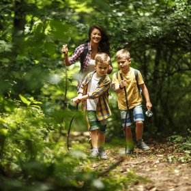 Mutter wandert mit ihren zwei Söhnen durch den Wald. Mutter wandert mit ihren zwei Söhnen durch den Wald.