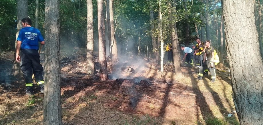 Im Hetzinger Wald im Nationalpark Eifel kam es zu einem weiteren Waldbrand. Über 100 Feuerwehrleute waren über Nacht im Einsatz.