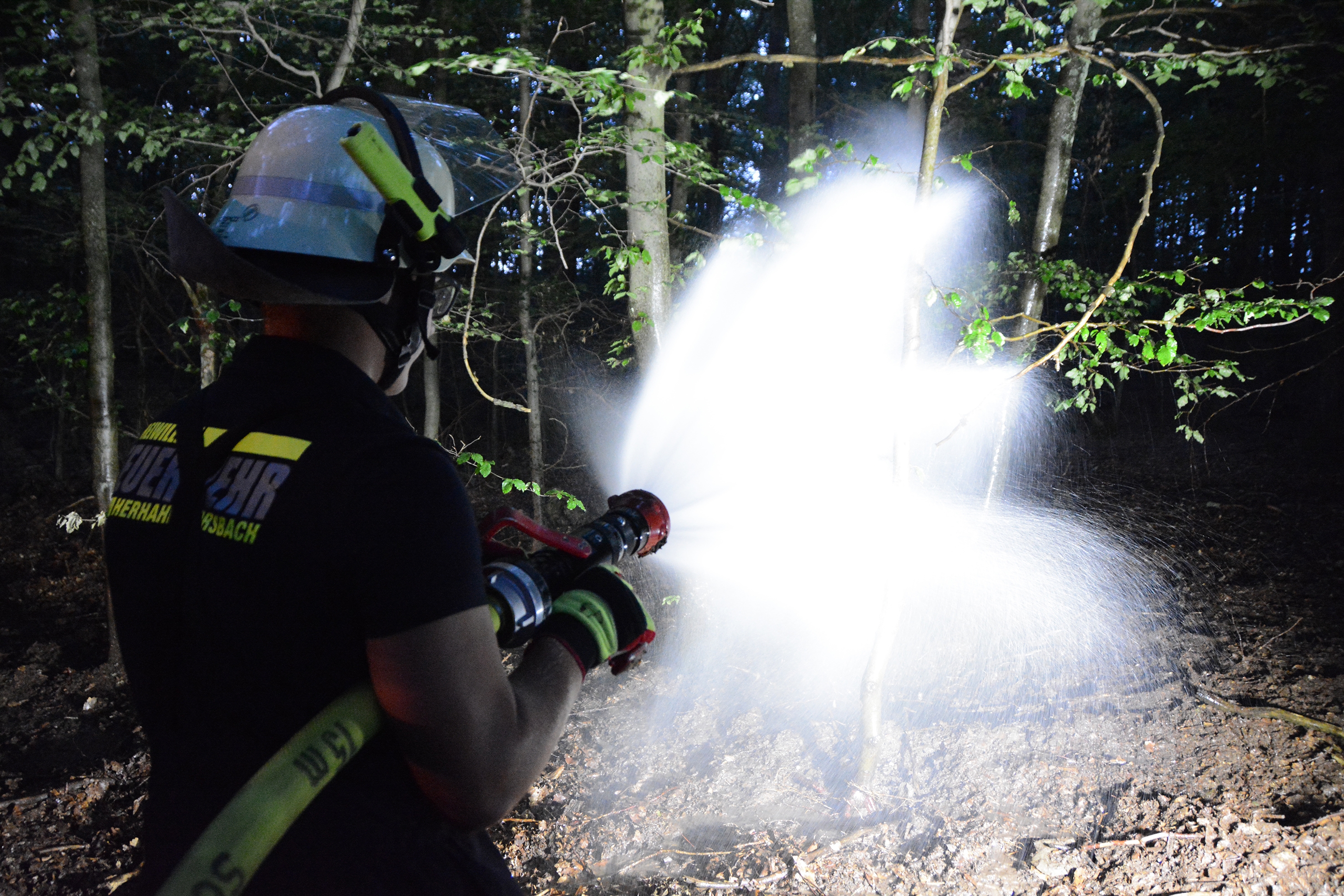 Bei einer Großübung der Freiwilligen Feuerwehr im Jahr 2023 wurde im Bereich Wolfgarten ein Waldbrand simuliert, um den Ernstfall zu üben. (© Oliver Geschwind) Bei einer Großübung der Freiwilligen Feuerwehr im Jahr 2023 wurde im Bereich Wolfgarten ein Waldbrand simuliert, um den Ernstfall zu üben. (© Oliver Geschwind)