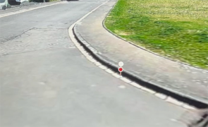 Hier wird verdeutlicht, wie genau die Vermessung der Straße ist und wie exakt in der Software vermes-sen werden kann. In diesem Fall wird ein Bordstein vermessen. Das Bild basiert auf dem Globalen Bild und ist eine weitere Vergrößerung der vorherigen Ansicht.