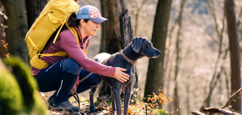 Hund, Wanderer, Wald