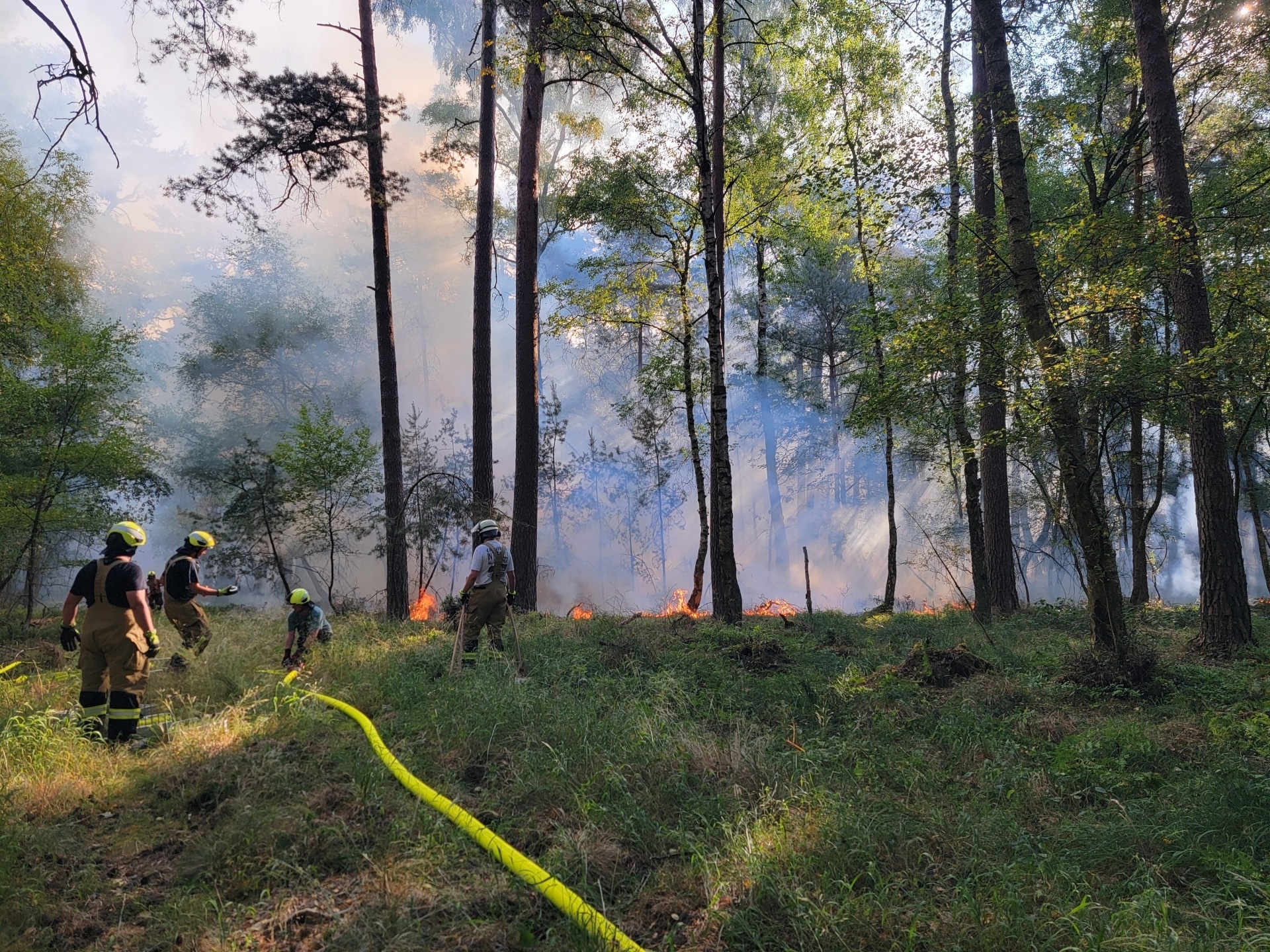 Anfang dieser Woche hat es im östlichen Kermeter im Nationalpark Eifel gebrannt, mutmaßlich durch ein illegales Lagerfeuer verursacht. Ein Großaufgebot von 150 Einsatzkräften umliegender Feuerwehren konnten den zirka 1,6 Hektar großen Brand löschen. Die aktuelle Situation im Nationalparkwald bleibt wie in allen Wäldern brandgefährlich: Alle Nationalpark-Gäste sollten unter keinen Umständen rauchen oder ein Feuer anmachen. Ein Funke genügt. Anfang dieser Woche hat es im östlichen Kermeter im Nationalpark Eifel gebrannt, mutmaßlich durch ein illegales Lagerfeuer verursacht. Ein Großaufgebot von 150 Einsatzkräften umliegender Feuerwehren konnten den zirka 1,6 Hektar großen Brand löschen. Die aktuelle Situation im Nationalparkwald bleibt wie in allen Wäldern brandgefährlich: Alle Nationalpark-Gäste sollten unter keinen Umständen rauchen oder ein Feuer anmachen. Ein Funke genügt.