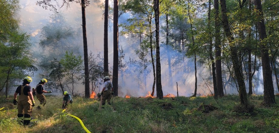 Anfang dieser Woche hat es im östlichen Kermeter im Nationalpark Eifel gebrannt, mutmaßlich durch ein illegales Lagerfeuer verursacht. Ein Großaufgebot von 150 Einsatzkräften umliegender Feuerwehren konnten den zirka 1,6 Hektar großen Brand löschen. Die aktuelle Situation im Nationalparkwald bleibt wie in allen Wäldern brandgefährlich: Alle Nationalpark-Gäste sollten unter keinen Umständen rauchen oder ein Feuer anmachen. Ein Funke genügt. Anfang dieser Woche hat es im östlichen Kermeter im Nationalpark Eifel gebrannt, mutmaßlich durch ein illegales Lagerfeuer verursacht. Ein Großaufgebot von 150 Einsatzkräften umliegender Feuerwehren konnten den zirka 1,6 Hektar großen Brand löschen. Die aktuelle Situation im Nationalparkwald bleibt wie in allen Wäldern brandgefährlich: Alle Nationalpark-Gäste sollten unter keinen Umständen rauchen oder ein Feuer anmachen. Ein Funke genügt.