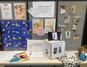 Am Informationsstand der Realschule fanden sich zahlreiche Interessierte ein, um mehr über das Projekt zu erfahren.