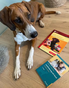 Seit dem Sommer 2025 gehört Schulhündin Lilli zur Belegschaft an der Städtischen Realschule Schleiden und weckt die Begeisterung beim Lesen.