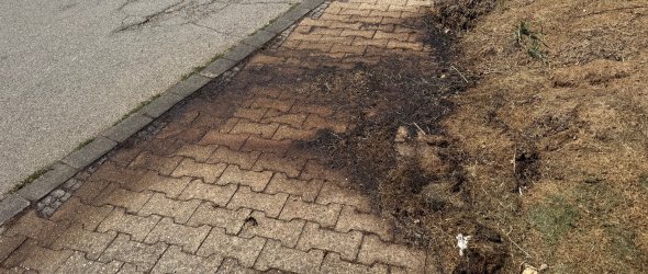 13/2026 - Bild 02: Gerade in den Sommermonaten ist der üble Geruch, der durch die Zersetzung entsteht, störend. (© Stadt Schleiden) 13/2026 - Bild 02: Gerade in den Sommermonaten ist der üble Geruch, der durch die Zersetzung entsteht, störend. (© Stadt Schleiden)