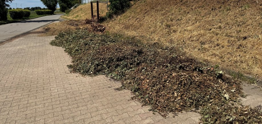 13/2026 - Bild 01: Auf dem öffentlichen Parkplatz unterhalb des Sportplatzes in Dreiborn werden regelmäßig private Grünabfälle widerrechtlich abgekippt. (© Stadt Schleiden)