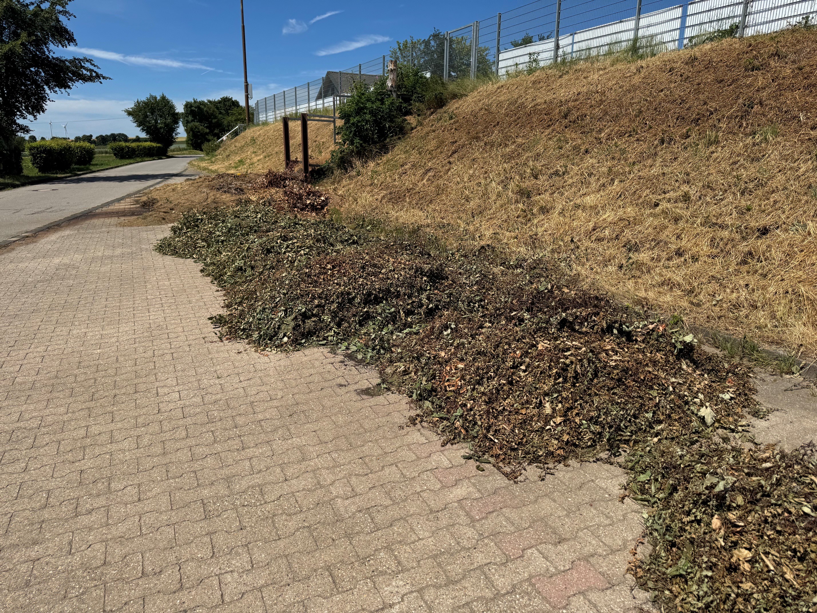 13/2026 - Bild 01: Auf dem öffentlichen Parkplatz unterhalb des Sportplatzes in Dreiborn werden regelmäßig private Grünabfälle widerrechtlich abgekippt. (© Stadt Schleiden)