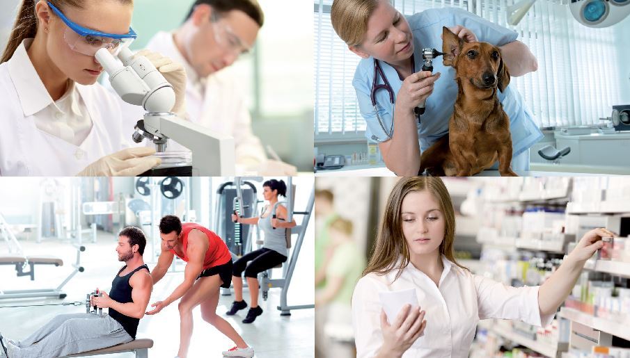 Gesundheitsberufemesse 2026 in Euskirchen