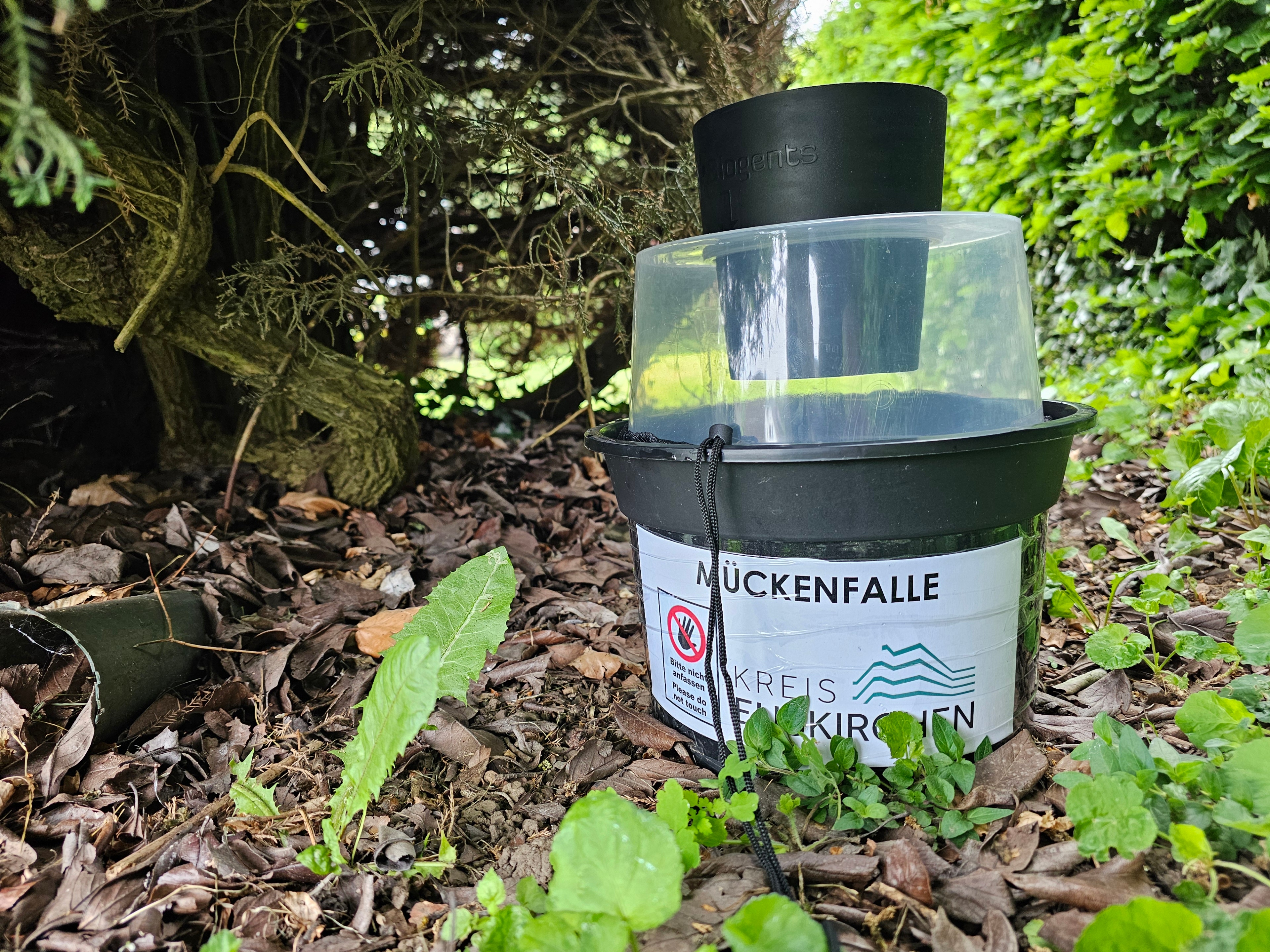 Mückenfalle des Kreises Euskirchen.