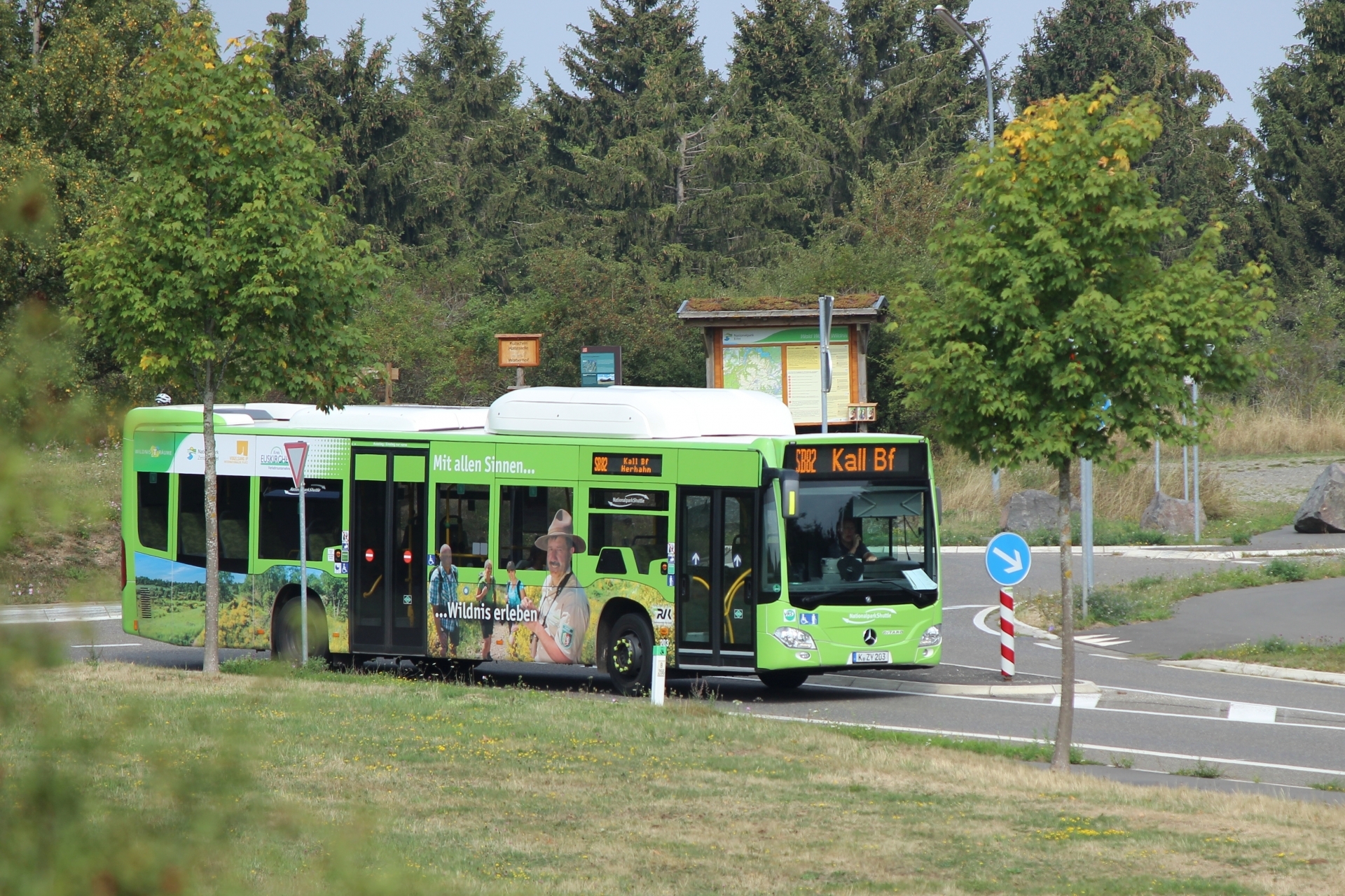 Lieber mit dem Bus in den Nationalpark fahren. Am Karfreitag starten die Freizeitlinien in der Nationalparkregion Eifel in die Saison.