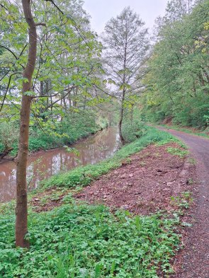 Zwischenlagerung von Erd- und Grünabfall am ehemaligen Katharinenhof in Gemünd.