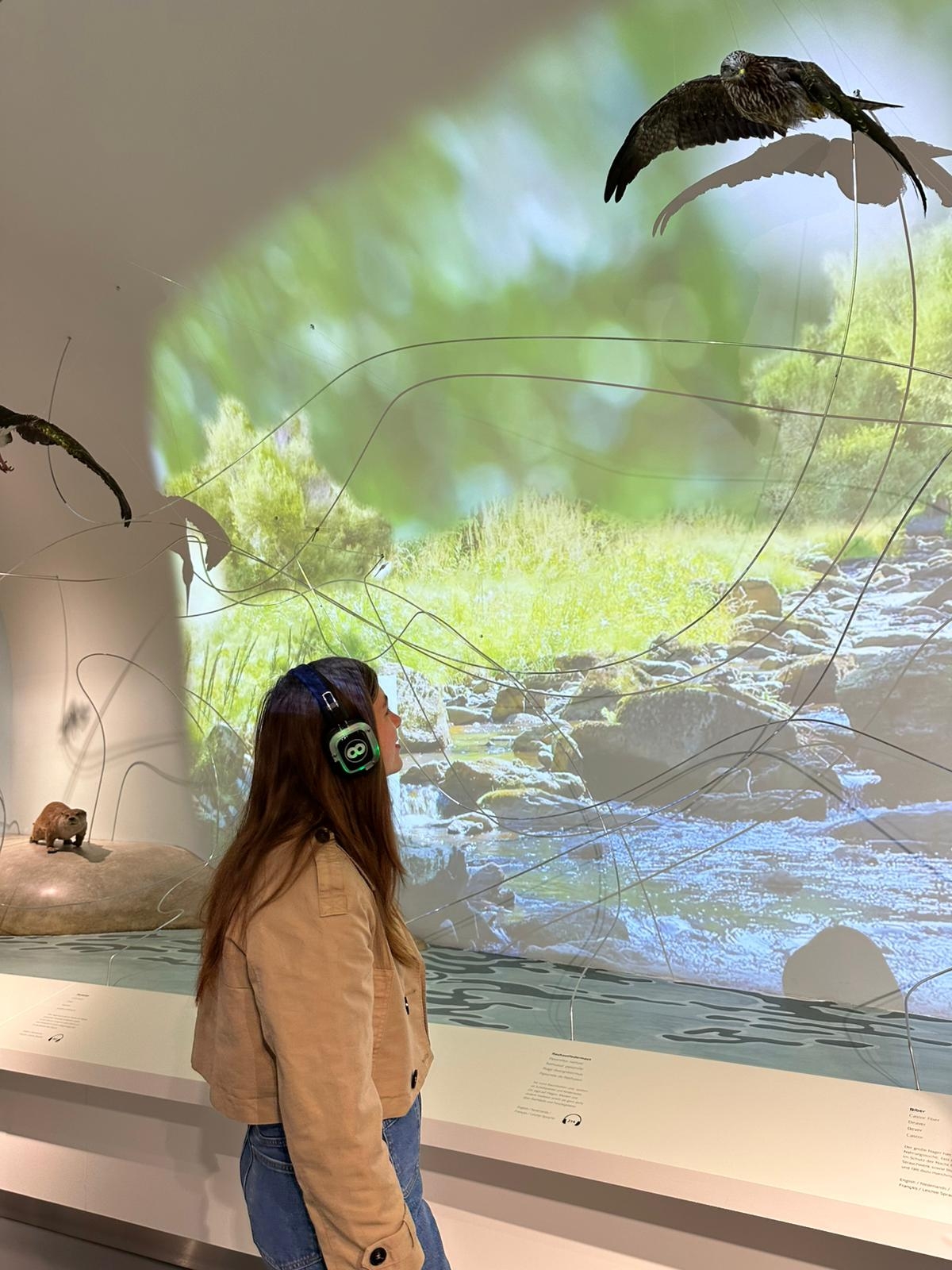 Mit Naturklängen und Musik: Beim Silent Event kann die Ausstellung „Wildnis(t)räume“ einmal aus einer neuen Perspektive erlebt werden. Mit Naturklängen und Musik: Beim Silent Event kann die Ausstellung „Wildnis(t)räume“ einmal aus einer neuen Perspektive erlebt werden.