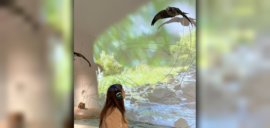 Mit Naturklängen und Musik: Beim Silent Event kann die Ausstellung „Wildnis(t)räume“ einmal aus einer neuen Perspektive erlebt werden. Mit Naturklängen und Musik: Beim Silent Event kann die Ausstellung „Wildnis(t)räume“ einmal aus einer neuen Perspektive erlebt werden.