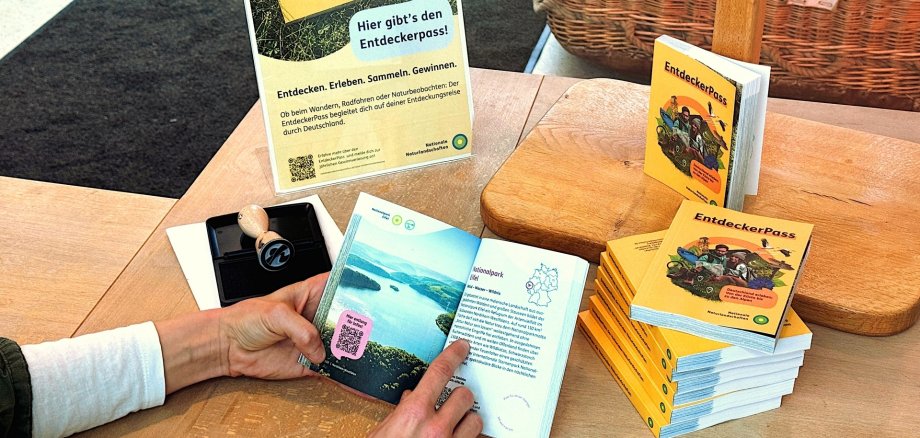 Entdeckerpass Wie hier im Nationalpark-Tor in Simmerath Rurberg erhalten Gäste den Pass und können sich zudem den Stempel eintragen lassen. Jedes der teilnehmenden Großschutzgebiete Deutschlands ist in dem Entdeckerpass mit einer eigenen Seite und den wichtigsten Informationen vorgestellt. (Foto: Nationalparkverwaltung Eifel/ A. Simantke)