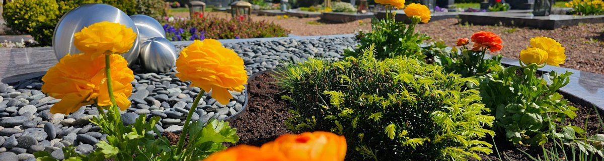 Detailaufnahme Friedhof Detailaufnahme Friedhof