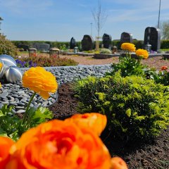 Friedhof Dreiborn - Detailaufnahme