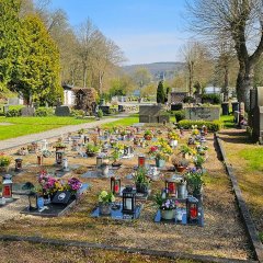 Friedhof Gemünd - Urnengräber