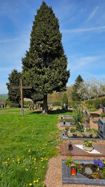 Friedhof Herhahn