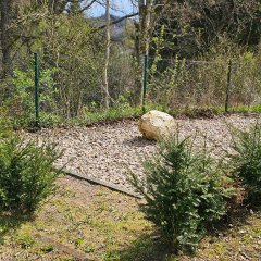 Friedhof Oberhausen - Aschenstreufeld