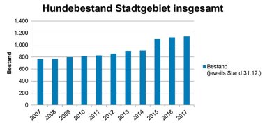 Grafik Hundebestand im Stadtgebiet Schleiden insgesamt