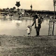 Der Weiher am Walberhof, etwa 1920.