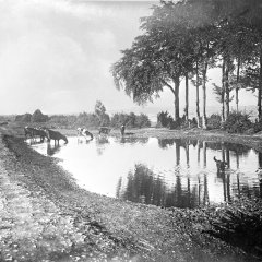 Dorfweiher in Bronsfeld. 