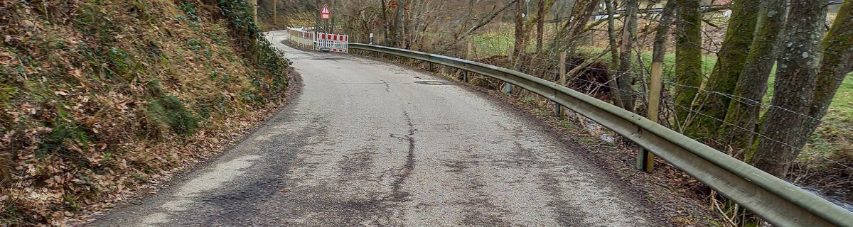 Zufahrtsstraße zur Schafbachmühle.
